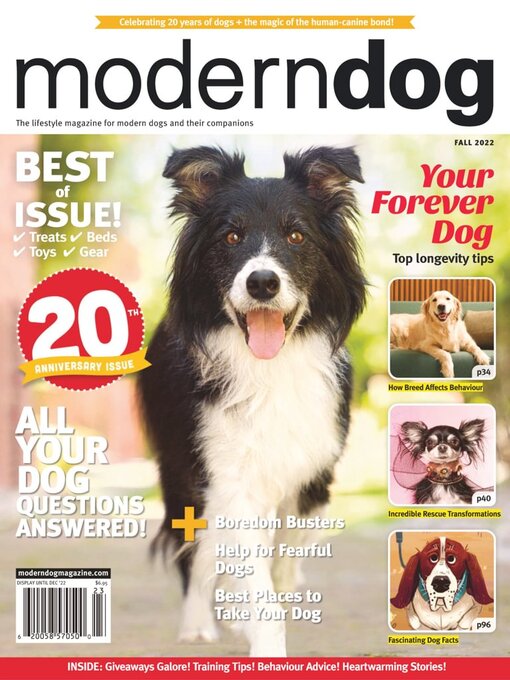 Title details for Modern Dog by Modern Dog Inc. - Available